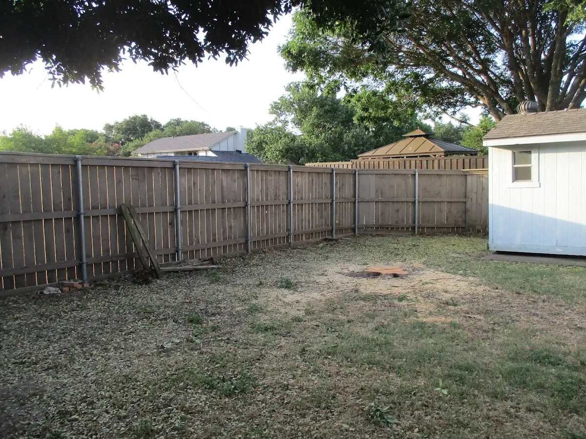 Cleared yard after professional tree removal in Panola